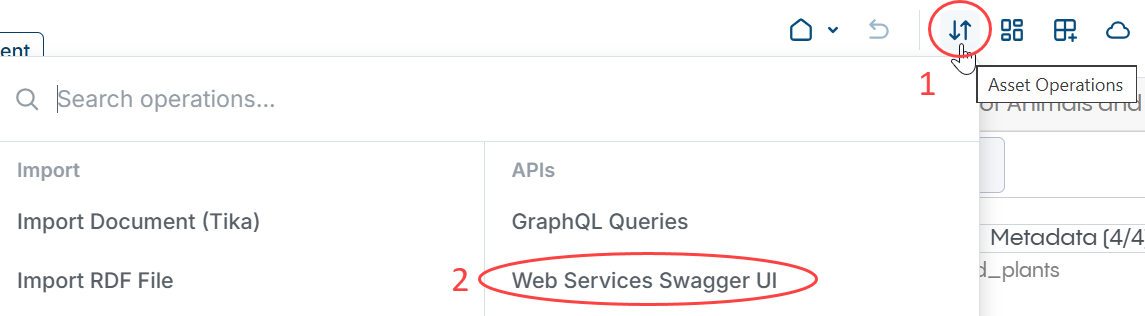 Screenshot showing how to get to the Swagger UI
