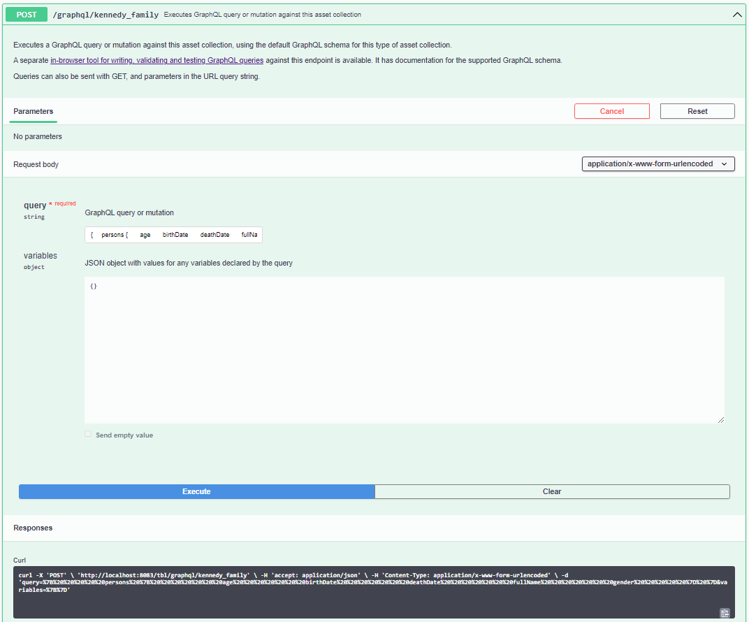 Swagger GraphQL Endpoint Query